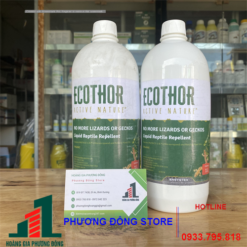 Ecothor đuổi thằn lằn